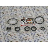 DIFFERENTIAL SEAL KIT